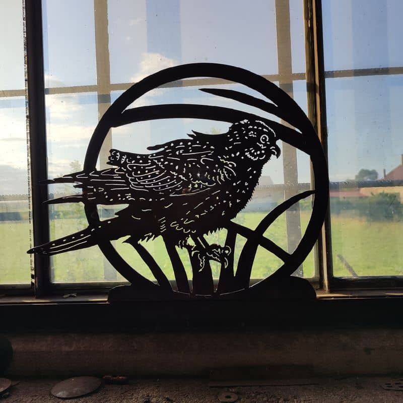 Le faucon crécerelle, petit rapace roux !