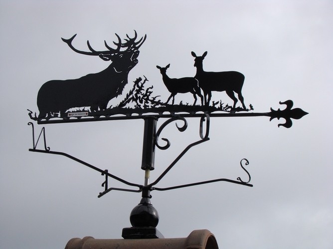 Sous le ciel étoilé de l'automne, le cerf brâme pendant la saison des amours