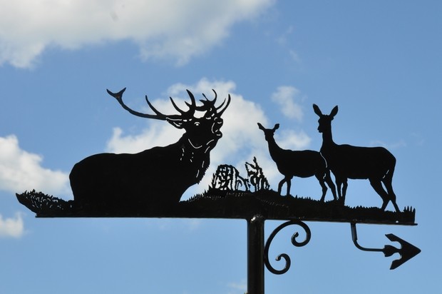 Tous les ans, le brâme du cerf fait le délice des enfants du Jura qui vont en forêt pour l'écouter