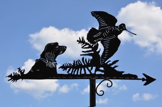 La chasse à la bécasse, une tradition bien connue du Jura