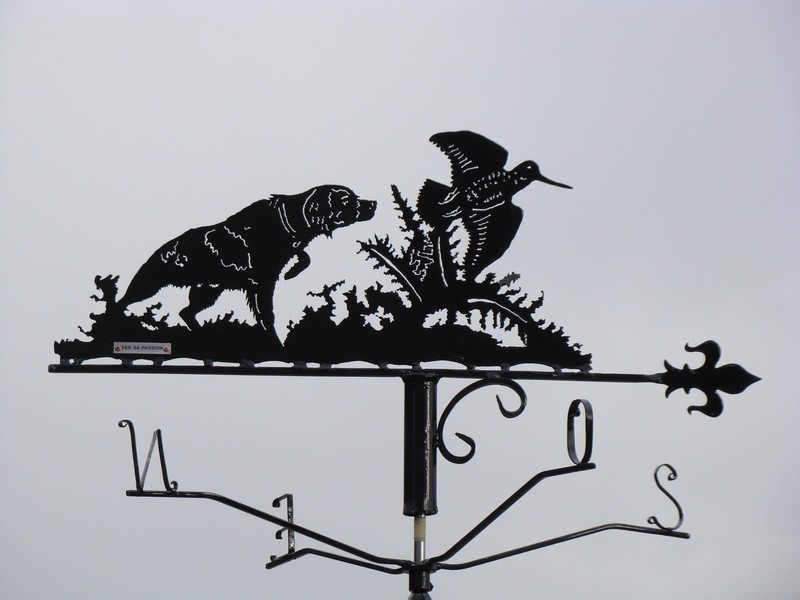 Le Jura terre de chasse. Quoi de mieux qu'un épagneul breton et une bécasse pour représenter cette activité ?