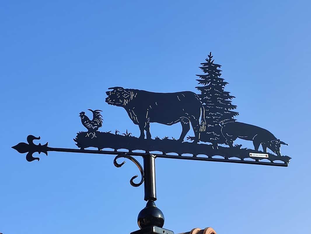 Les animaux de la ferme, une rencontre habituelle en Bourgogne Franche Comté