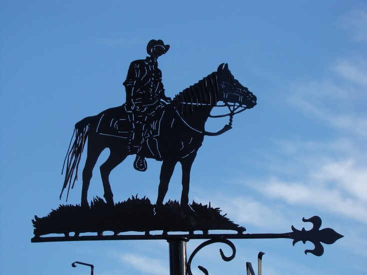 A poor lonesome cowboy.