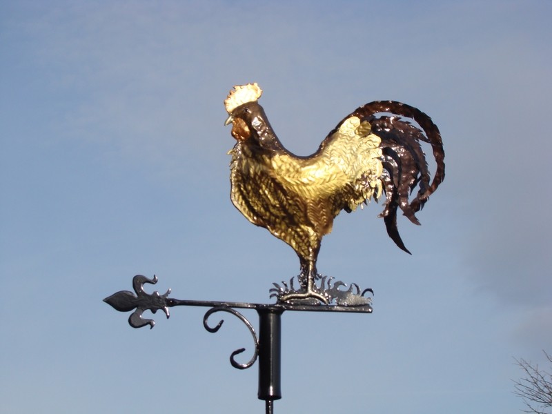 Ce coq embossé resplendit dans sa parure dorée et illumine le toît de son propriétaire