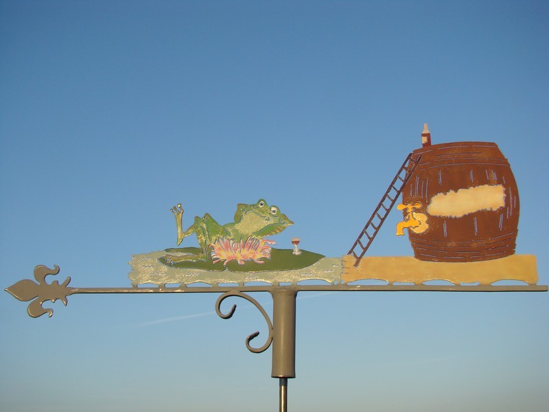 La grenouille, cet animal qui sait comment vivre !