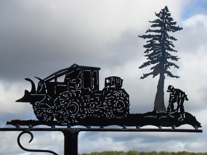 Le débardeur, toujours là pour prendre soin de nos forêts !